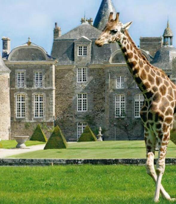 La Baie Du Mont Appartement De Vacances Proche Du Mont Saint Michel Ро-сюр-Куэнон Экстерьер фото